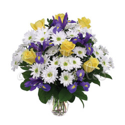 bouquet_margherite_bianche_iris_roselline_gialle